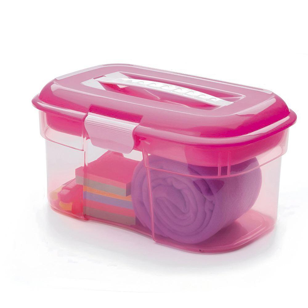 Caja Organizadora Fucsia - Varios Tamaños Grande