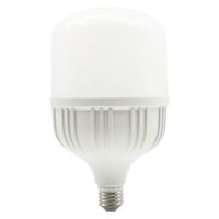 Bombilla Led Alta Potencia 40W - Tecnolite