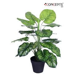 Planta-Artificial-Dieffenbachia-Seguine-45-Cm---Concepts
