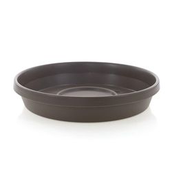 Caja Terra Chocolate 10 - Bloem