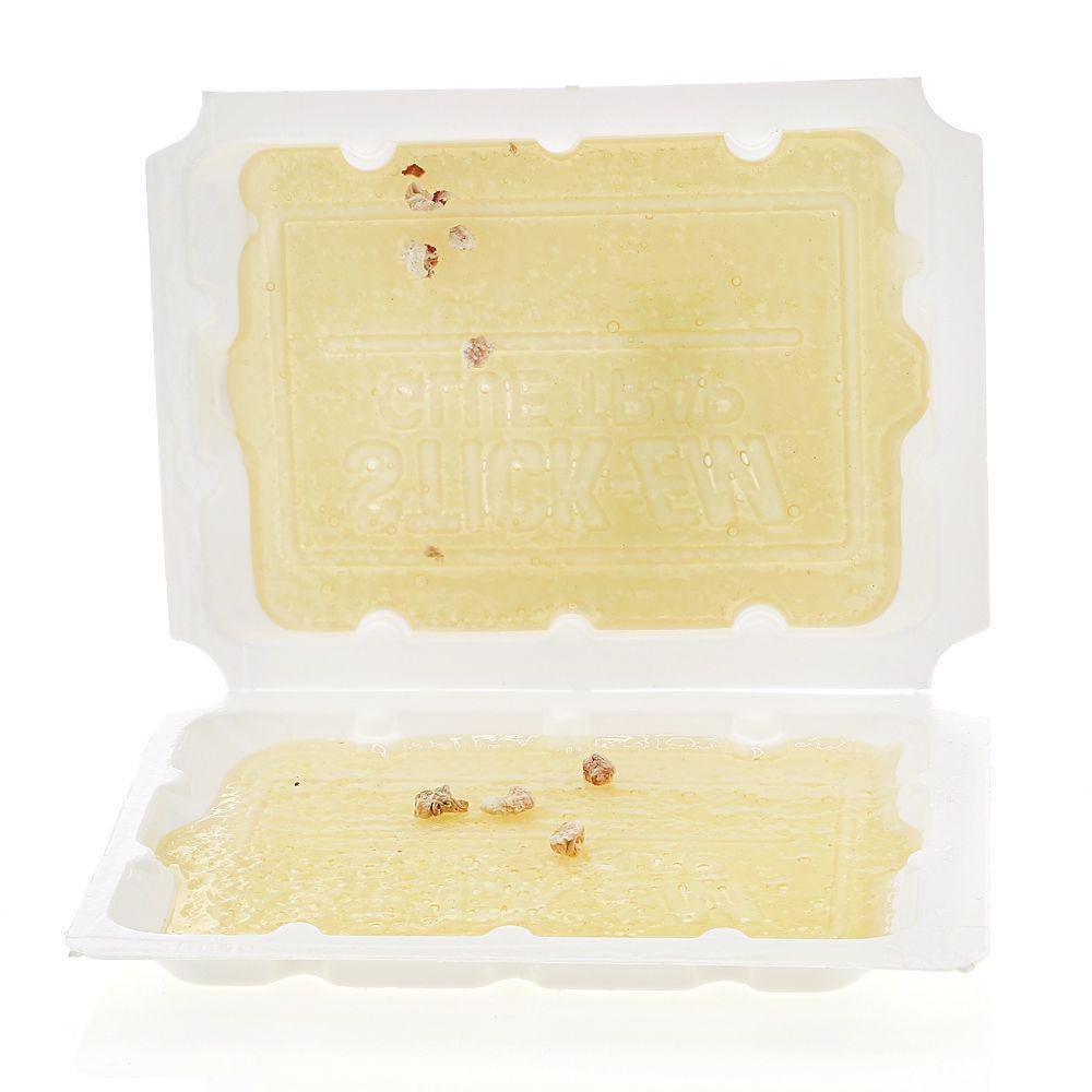 Set de 2 Mini Trampas Adhesivas para Roedores
