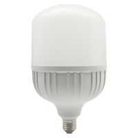 Bombilla Led Alta Potencia 50W - Tecnolite