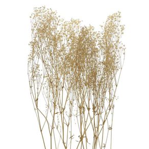 Baby Breath Preservado Natural 1 Unidad - Kotz'ijal