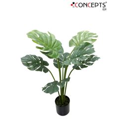 Planta-Decorativa-Con-Pote-100-Cm