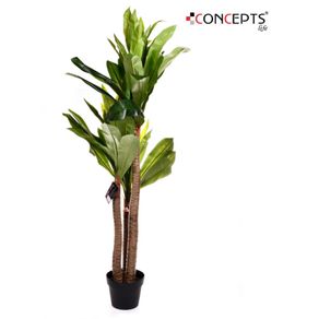 Planta Con Maceta 120 Cm - Concepts