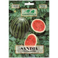 Semilla De Sandía - Germovegs