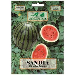 Semilla De Sandía - Germovegs