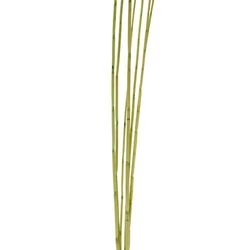Mini-Bamboo Colección Ocres 1.30 Mts. 7