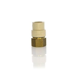 Adaptador De Cpvc Hembra De 1/2 Plg - Durman Esquivel