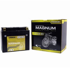 Batería De Moto Bt12B-Bs  - Magnum