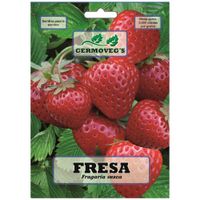Semilla De Fresa - Garden
