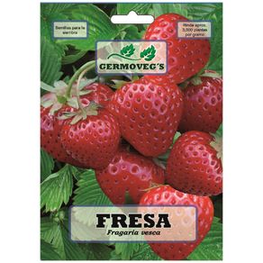 Semilla De Fresa - Garden