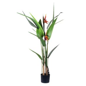 Planta Con Pote 125X40X60 - Concepts