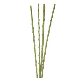 Bambu-Decorativo-4-Tallos---1-M-Alto