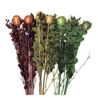 Bouquet Decorativo Kotzijal 2 Tallos - Kotz