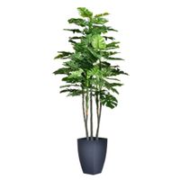 Planta Con Pote 110 Cm
