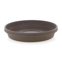 Caja Terra Chocolate 8