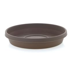Caja Terra Chocolate 8