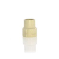 Adaptador De Cpvc Hembra 3/4 Plg - Genova Products