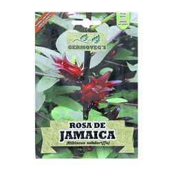Semilla-De-Rosa-De-Jamaica