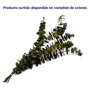 Eucalipto Preservado 1 Unidad Colores Surtidos - Kotz'Ijal