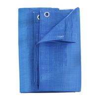 Lona De Polietileno De 8 X 10 Pies - Home Plus
