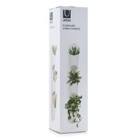 Recipiente De Pared Floralink Blanco - Umbra