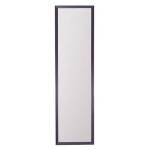 Espejo-Para-Puerta-12-X-48-Plg---Viva