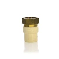 Adaptador De Cpvc Hembra De 3/4 Plg - Durman Esquivel