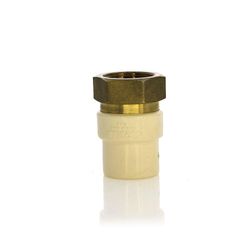 Adaptador De Cpvc Hembra De 3/4 Plg - Durman Esquivel