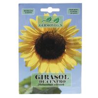 Semilla De Girasol - Germoveg´S