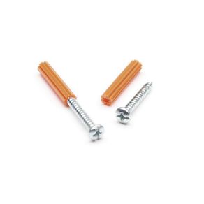 Set De Tornillos Con Tarugo De 3/16 6X1 - Rinho