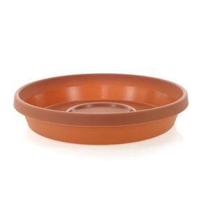 Caja Terracota 12 - Bloem