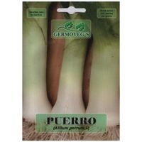 Semilla De Puerro