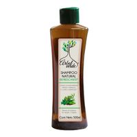 Shampoo Refrescante 500 Ml - Árbol Verde