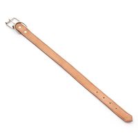 Collar De Cuero Para Perro 56 Cm - Dog Lovers