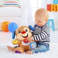 Mascota Diviertete Por Estapas - Fisher Price