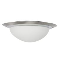 Plafón De Techo Plateado 1 Luz - Tecnolite