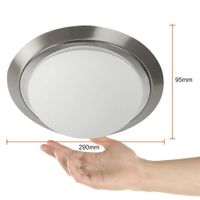 Plafón De Techo Plateado 1 Luz - Tecnolite