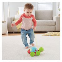 Tortuga Aprendizaje - Fisher Price