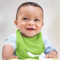 Set Baberos Waterproof Absbnt Bib 10Pk-Boys - Iplay
