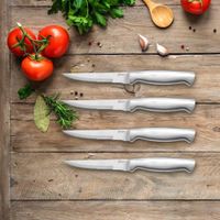 Set 4 Cuchillos Para Carne  - Oster