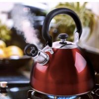 Tetera Roja de 1.8 Qt - Mr. Coffee