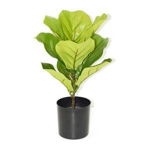 Planta Hoja  En Maceta