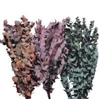 Eucalipto Preservado 1 Unidad Colores Surtidos - Kotz