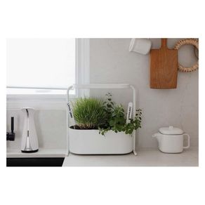 Maceta Para Sembrar Giardino Blanco - Umbra