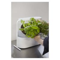 Maceta Para Sembrar Giardino Blanco - Umbra