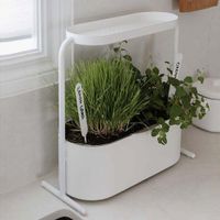 Maceta Para Sembrar Giardino Blanco - Umbra