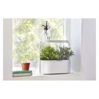 Maceta Para Sembrar Giardino Blanco - Umbra