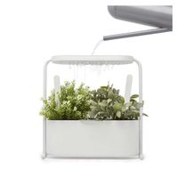 Maceta Para Sembrar Giardino Blanco - Umbra